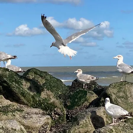Semesterbostad Maison Nausikaa